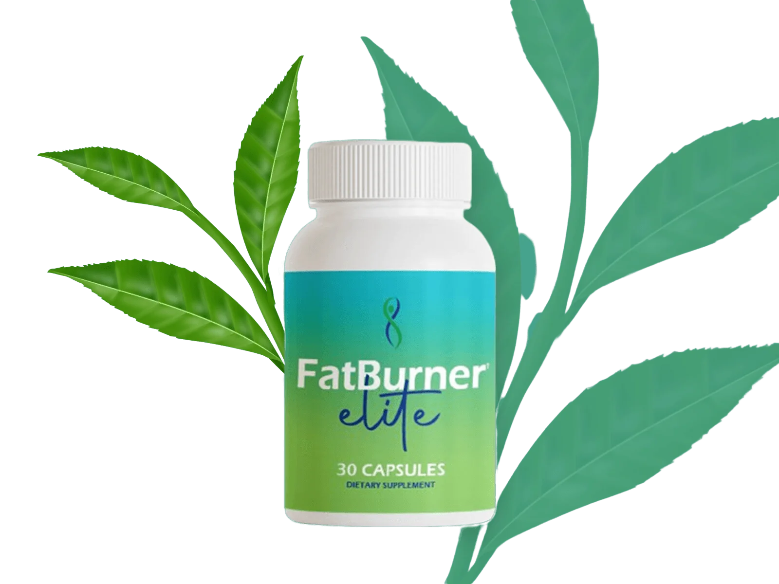 FatBurner Elite Sale