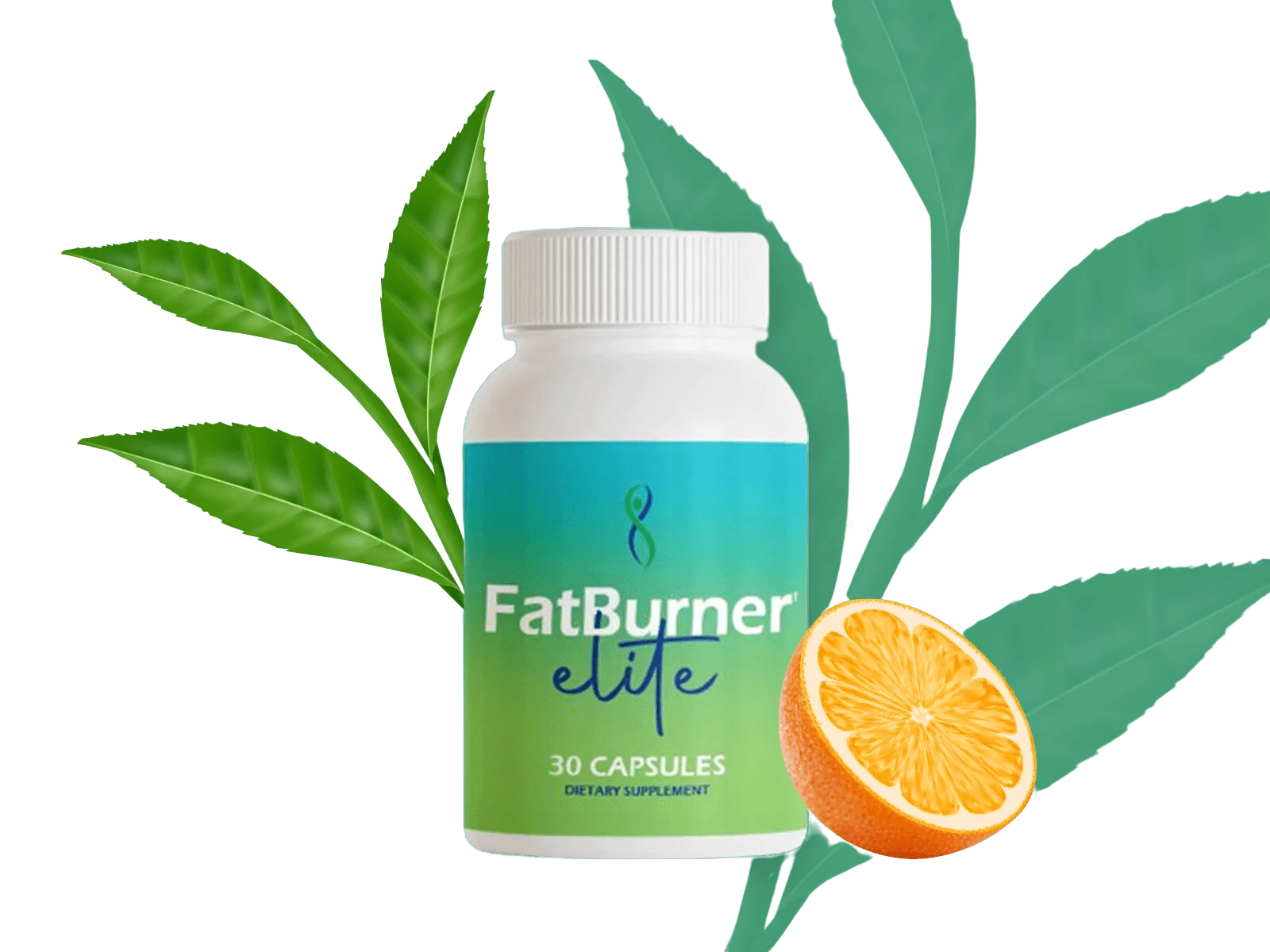 FatBurner Elite Weight Loss Supplement
